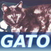 CD03.GATO