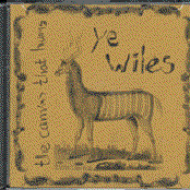 The Canvas That Hums