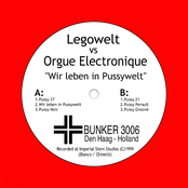 Wir Leben In Pussywelt by Legowelt Vs. Orgue Electronique