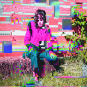 Buffalo Hunt: Ambitions of Ambiguity