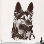 Pipsqueak (cassette)