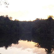 Quarto Relatório Anual