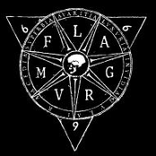 Flagrvm