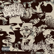 WIPING TILL THERE'S BLOOD EVERY FUCKING TIME