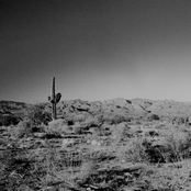 The Basement Tracks / One Foot Out the Door