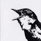 Nightingale Variations