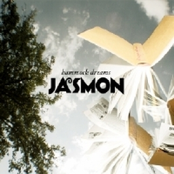 I Like It by Jasmon