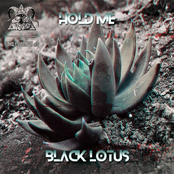 Black Lotus