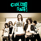 Cockney Cats