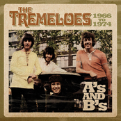 E In Silenzio by The Tremeloes