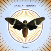 Cicada by Hazmat Modine