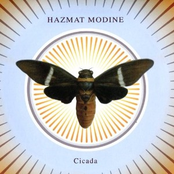 I've Been Lonely For So Long by Hazmat Modine