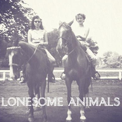 lonesome animals