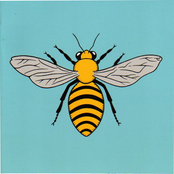 Help Stamp Out Loneliness