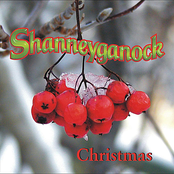 Shanneyganock: Christmas