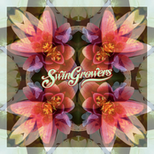 Swingrowers: Butterfly