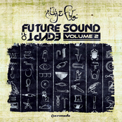 Future Sound Of Egypt Volume 2