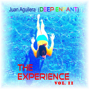 The Experience  vol.II