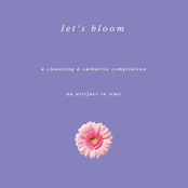 Let's Bloom