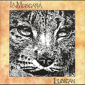 Jotas De León Y Zamora by La Musgaña