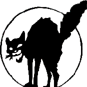 Anarchy Is for Lovers