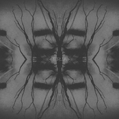 The Electric Wizard split EP