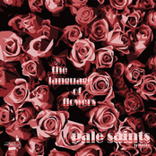 VA - The Language of Flowers, A Tribute to Pale Saints