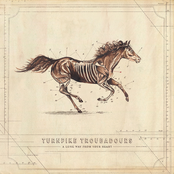 Turnpike Troubadours: A Long Way from Your Heart