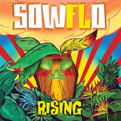 Sowflo: Rising