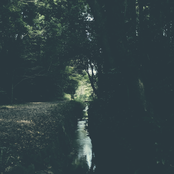 Log 9