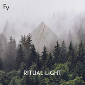 Forest Veil: Ritual Light