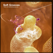Soft Grooves