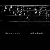 dente de siso