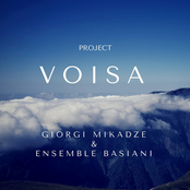 Voisa