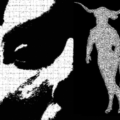 Del animal al ser mitologico