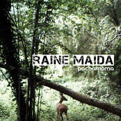 Itchy by Raine Maida