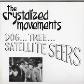 Dog. Tree. Satellite Seers ...