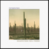 Incantations for a Tenrec