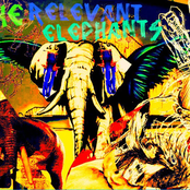 The Relevant Elephants