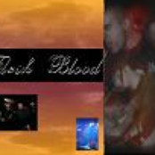 Flesh `n` Blood - mehr als Suff und Killernieten - 12 Jahre Flesh `N` Blood
