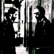 Showpony: Darker Side