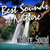 Best Sounds of Nature