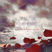 Roses Beneath Your Grave EP