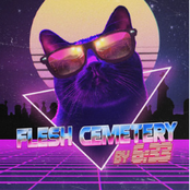 Flesh Cemetery