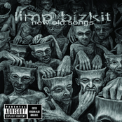 Crushed by Limp Bizkit