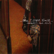 The Night Bell - Hazards & Hard Objects