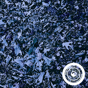 sun below, moon below, swallow my soul