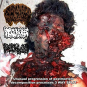 Unusual Progression Of Postmortem Decomposition Process 3 Way Split