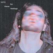 Sorry for These Feelings