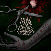 No Mercy, No Remorse